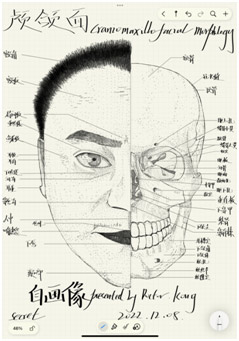 整形外科的“医术”与“艺术”——颅颌面篇(图1)